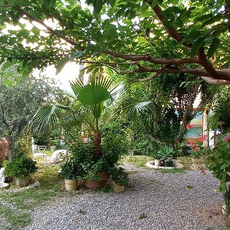 Casa Con Jardin Frente Playa De Burriana Villa Kamer foto