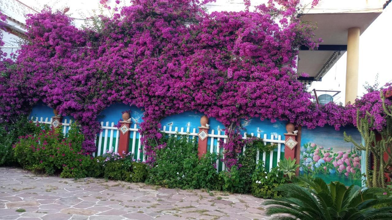 Casa Con Jardin Frente Playa De Burriana Villa Buitenkant foto