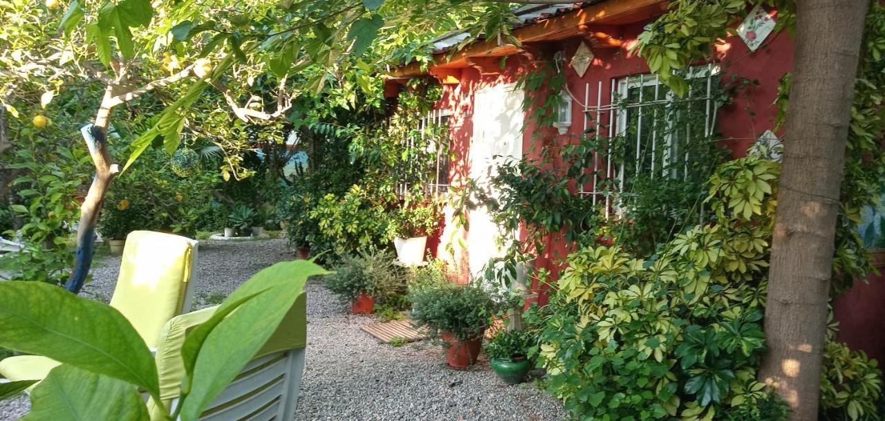 Casa Con Jardin Frente Playa De Burriana Villa Buitenkant foto