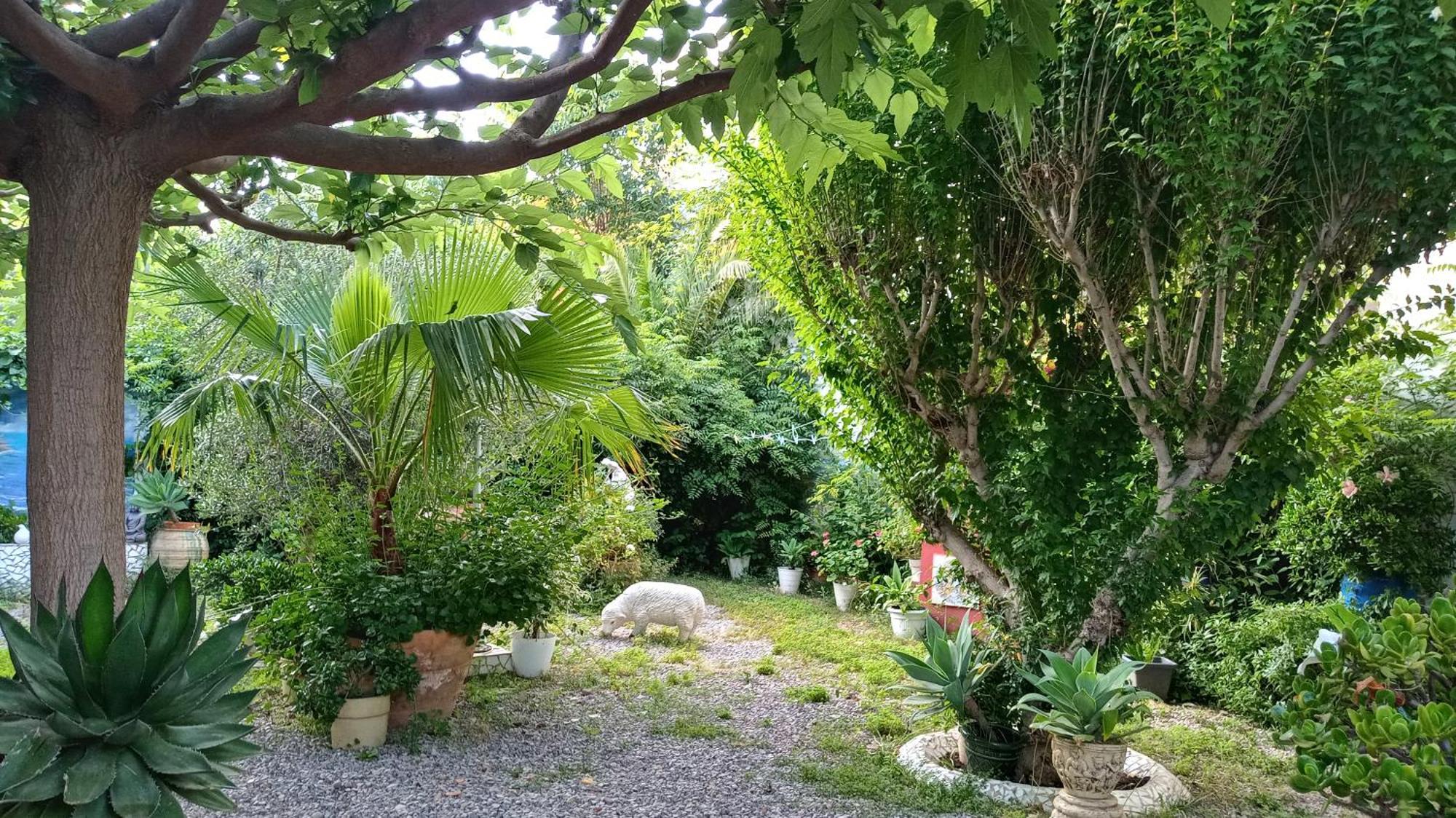 Casa Con Jardin Frente Playa De Burriana Villa Kamer foto
