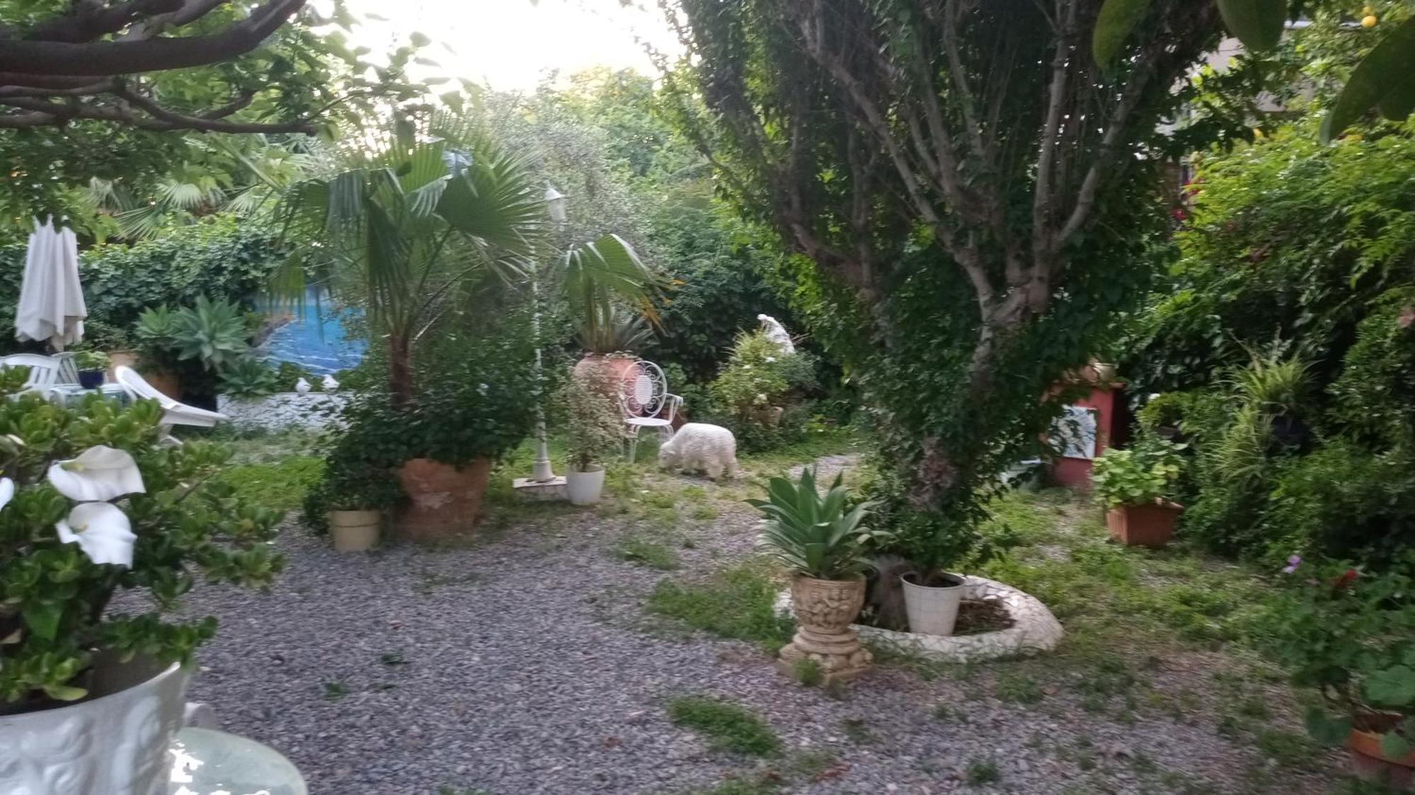 Casa Con Jardin Frente Playa De Burriana Villa Kamer foto