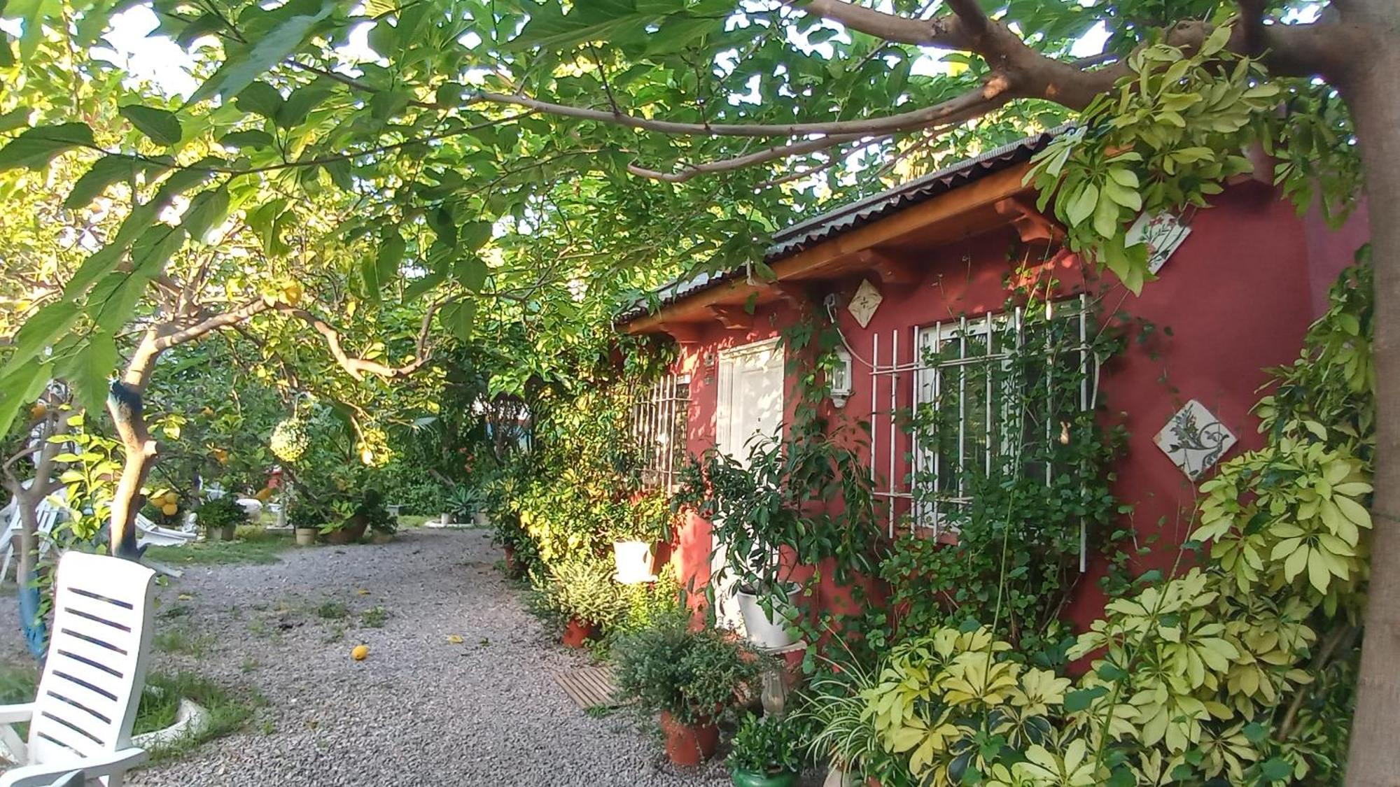 Casa Con Jardin Frente Playa De Burriana Villa Kamer foto