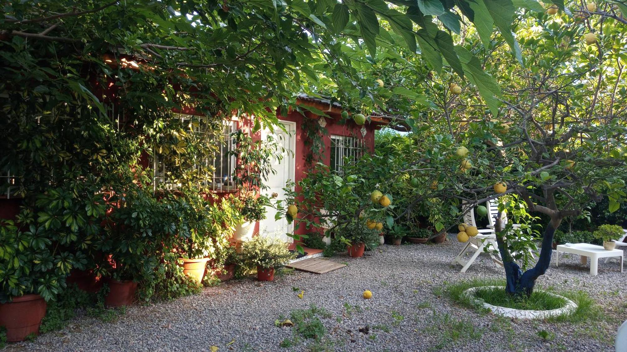 Casa Con Jardin Frente Playa De Burriana Villa Kamer foto