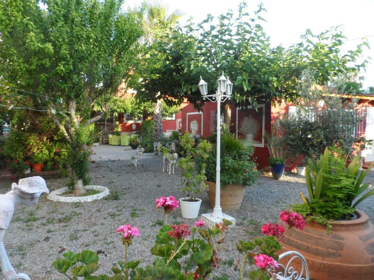 Casa Con Jardin Frente Playa De Burriana Villa Buitenkant foto