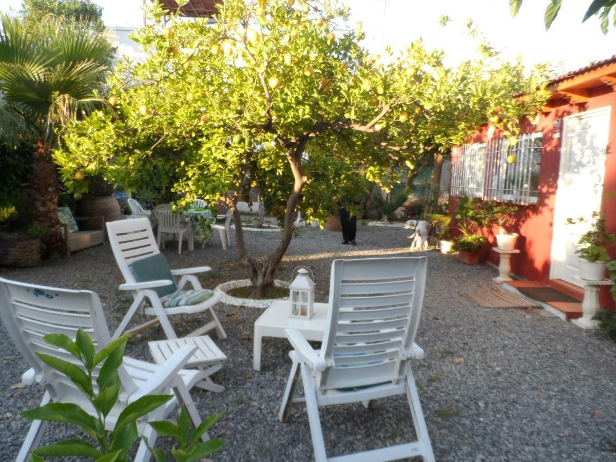 Casa Con Jardin Frente Playa De Burriana Villa Buitenkant foto